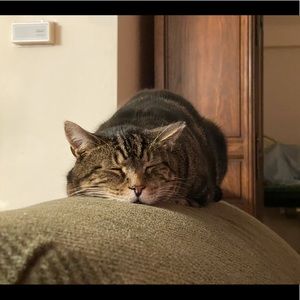 Meet your Posher, Rebecca